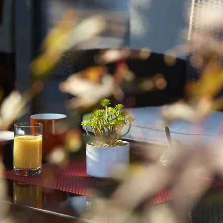 Hotel & Restaurant Wilder Mann 3*